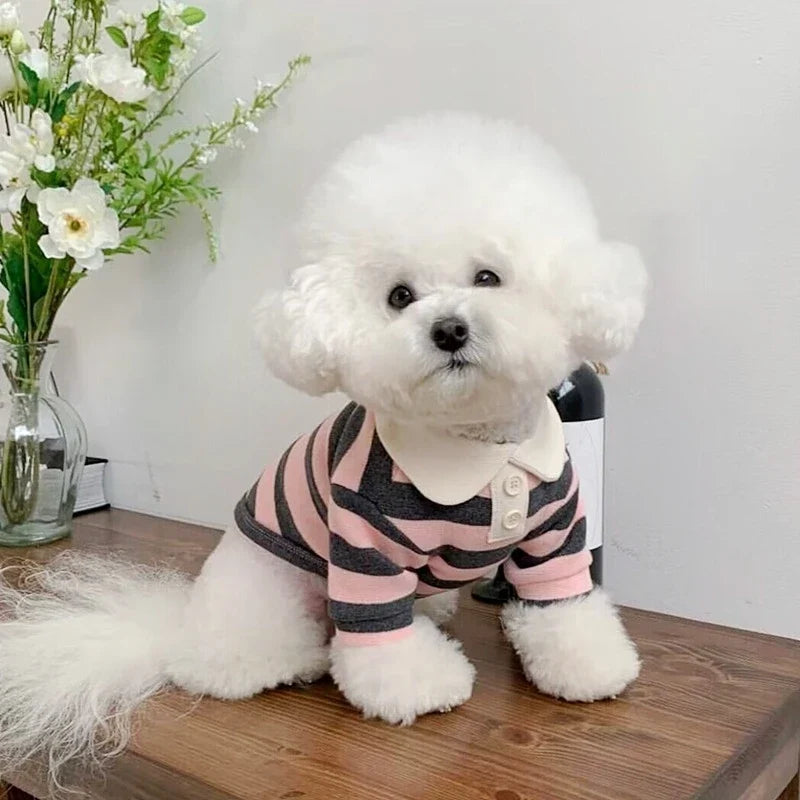 Summer Dog Polo Shirt for Small Dogs-3