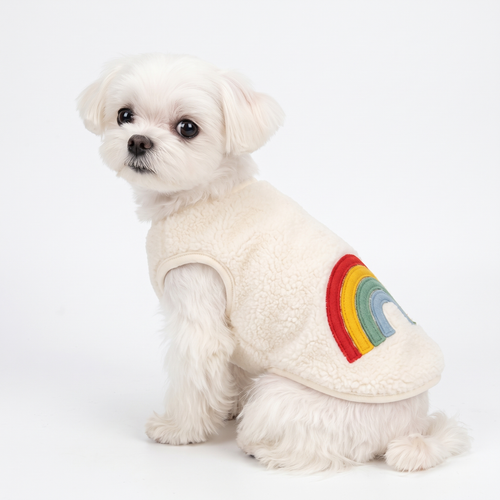 Halloween Pet Cosplay Costume Cat & Dog Outfits-Rainbow Love